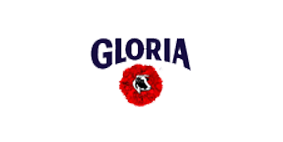 canasta navideña gloria